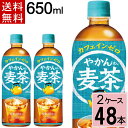 ＼10％OFFクーポン／やかんの麦茶 from 爽健美茶 PET 650ml 送料無料 合計 48 本（24本×2ケース）ペットボトル 送料無料 ペットボトル 麦茶 送料無料 送料込み お茶 ペットボトル 500ml 送料無料