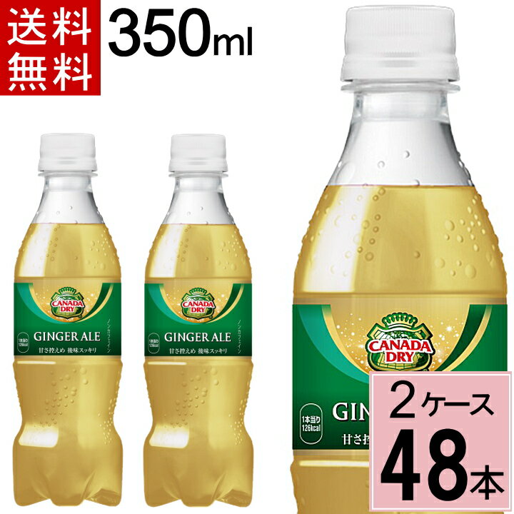 カナダドライ ジンジャーエール PET 350ml 送料無料 合計 48 本（24本×2ケース）ジンジャエール ジンジャー 炭酸飲料 送料無料 4902102141932