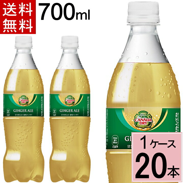 カナダドライ ジンジャーエール PET 700ml 送料無料 合計 20 本（20本×1ケース）ジンジャエール ジンジャー 炭酸飲料 送料無料 4902102141994