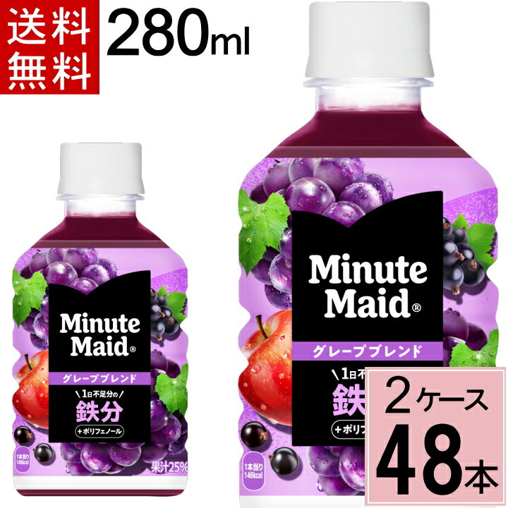 ミニッツメイド グレープブレンド 鉄分 280ml PET 送料無料 合計 48 本（24本×2ケース）ミニッツメイドまとめ買い グレープ 鉄分 4902102152037