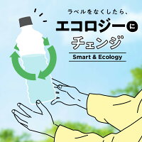 【50円OFFクーポン対象】カナダドライザタンサンストロングPET430ml送料無料合計24本(24本×1ケース)炭酸水送料無料強炭酸水ザタンサン炭酸水炭酸飲料カナダドライカナダドライザ・タンサンカナダドライ43024