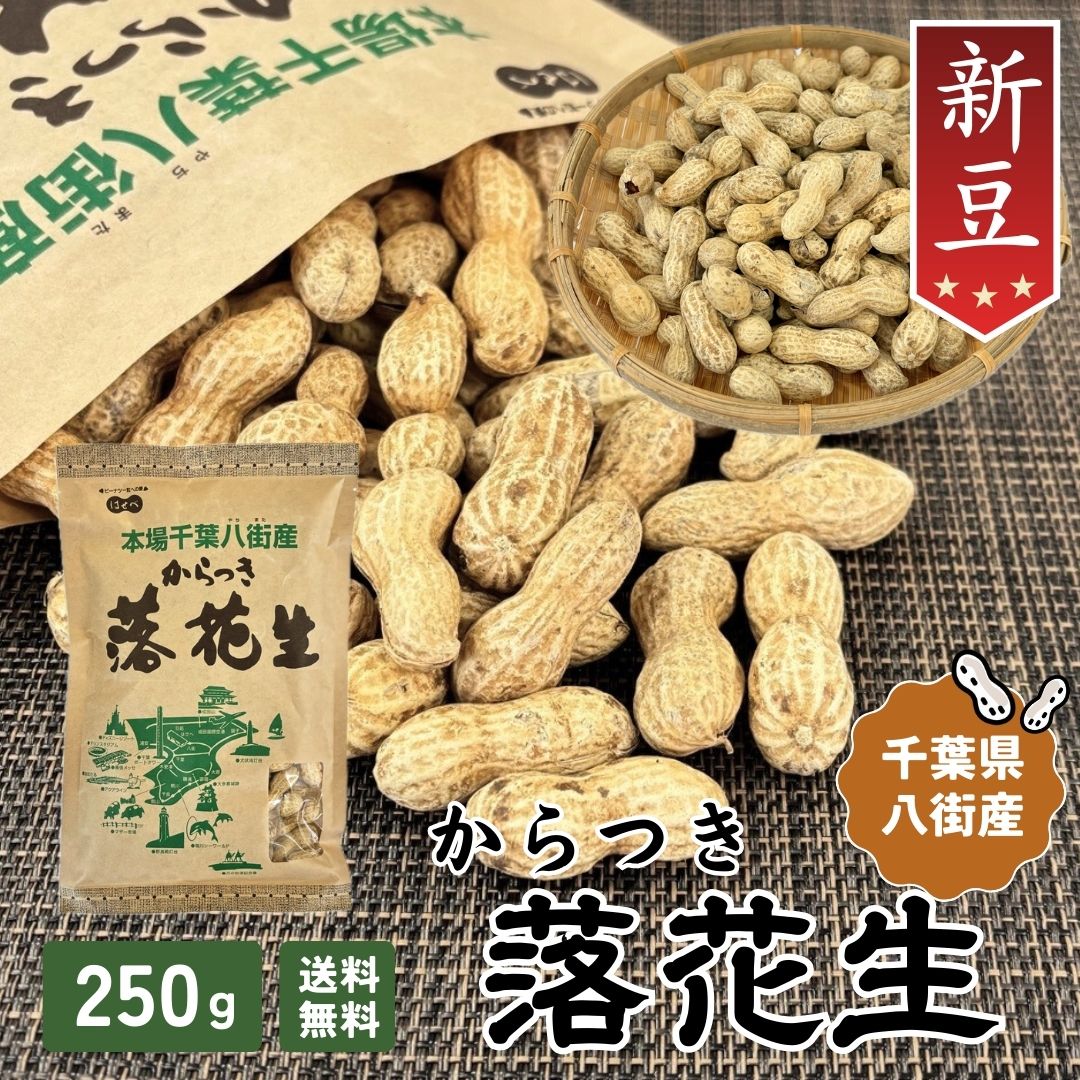 ＼ポイント3倍／千葉 落花生 2025年 ナッツ 千葉県 八街産 落花生 新豆【1袋】250g 殻付き 【ナカテユタカ】ピーナッツ 中手豊【HB11】国産 皮ごと 煎りざや 無添加 無着色 無塩 はせべ ちば 八街産 100% やちまた