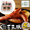\最大200円offクーポン/お中元 平田牧場 特製ハムソーセージ詰合せセット 【冷蔵】 引越し 転勤 職場 異動 お取り寄せグルメ 肉 高級 ギフト 内祝 ソ...