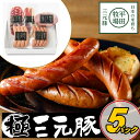 \最大200円offクーポン/お中元 平田牧場 特製ハムソーセージ詰合せセット 【冷蔵】 引越し 転勤 職場 異動 お取り寄せグルメ 肉 高級 ギフト 内祝 ソ...