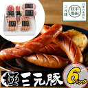\最大200円offクーポン/お中元 平田牧場 特製ハムソーセージ詰合せセット 【冷蔵】 引越し 転勤 職場 異動 お取り寄せグルメ 肉 高級 ギフト 内祝 ソーセージ 詰合せ 無添加 豚肉 贈り物 惣菜 ギフト お祝返し お祝 CHK23-