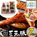 \最大200円offクーポン/お中元 平田牧場 特製ハムソーセージ詰合せセット 【冷蔵】 引越し 転勤 職場 異動 お取り寄せグルメ 肉 高級 ギフト 内祝 ソ...