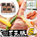 \最大200円offクーポン/お中元 平田牧場 特製ハムソーセージ詰合せセット 【冷蔵】 引越し 転勤 職場 異動 お取り寄せグルメ 肉 高級 ギフト 内祝 ソ...