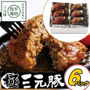 \最大200円offクーポン/お中元 平田牧場 金華豚ハンバーグ6個セット【冷蔵】 引越し 転勤 職場 異動 お取り寄せグルメ ギフト ハンバーグ 温めるだけ ...