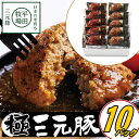 豚 平田牧場 金華豚ハンバーグ10個セット【冷蔵】 お歳暮 御歳暮 冬ギフト 帰省 お取り寄せグルメ ギフト ハンバーグ 温めるだけ 肉 肉ギフト 内祝い 贈り物 食べ物 惣菜 お祝い返し 御祝 お礼 お返し 内祝い 贈答