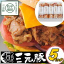 \最大200円offクーポン/平田牧場 金華豚万能味噌漬け 5枚入り【冷蔵】 引越し 転勤 職場 異動 お取り寄せグルメ ギフト 肉 高級 ギフト ロース 豚肉 味噌漬け 豚肉 国産 平田牧場 お取り寄せグルメ テレビ JHM-RK05