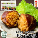 豚 平田牧場 金華豚 肉巻きおにぎり【6個入】【常温】お歳暮 御歳暮 冬ギフト 帰省 お取り寄せグルメ ギフト 肉巻きおにぎり 惣菜 高級 ギフト 惣菜 お礼 内祝 セット お礼 平田牧場 三元豚 山形 お土産 御祝 お礼
