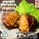 【H常温】平田牧場 金華豚 肉巻きおにぎり【10個入】 お取り寄せグルメ テレビ 高級 グルメ 惣菜 ギフト ギフト お礼 内祝い 贈り物 食べ物 ギフト 女性 男性 三元豚 山形 お土産 豚肉 国産 mr…