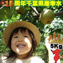 \200円OFFクーポン/幸水 5kg【2L】梨 15玉~16玉 贈答 秀品 2025 なし 千葉県の梨 ナシ 産地直送 お取り寄せ 果物 ギフト プレゼント 自宅用 産直 幸水 千葉県産 千葉県 内祝 御礼 御祝 出産祝 残暑見舞 フルーツ 出荷量 有名 印西