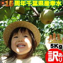 \200円OFFクーポン/幸水 5kg【訳あり】【3L】梨 2025 13玉~14玉 匠の梨 なし こうすい 果物 ギフト 贈答 プレゼント 自宅用 お得 千葉県の梨 ナシ 産地直送 お取り寄せ 産直 幸水 千葉県産 千葉県 内祝 御礼 御祝 出産祝 残暑見舞 フルーツ 出荷量 有名 印西 わけあり