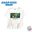 【アウトレット】ANAP kids パイナッ