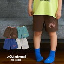 【2025春夏セール】and D. Petit main【水陸】ワンポイントロゴショートパンツ No.2252112 ( アンドディー プティマイン 子供服 男の子 キッズ トドラー ボトムス ハーフパンツ ショートパンツ ゴムパン ポケット 海水浴 プール カジュアル 人気 春 夏 )
