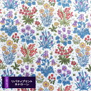 リバティプリント【タナローン/23SS】コロンブスタディ(ホワイト地カラフル 23C)Colombe Study 3633133-23c 国産