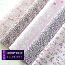 カットクロス <コットンキャンディ> 別注 ハンドメイド LIBERTY はぎれ 5種類セット 約30×25cm リバティ