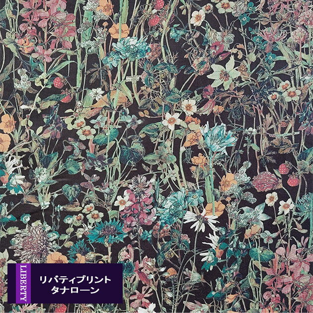 Хƥץȡڥʥ/ʥۥ磻ɥեʹϥ꡼ DEWildFlowers3634251-de