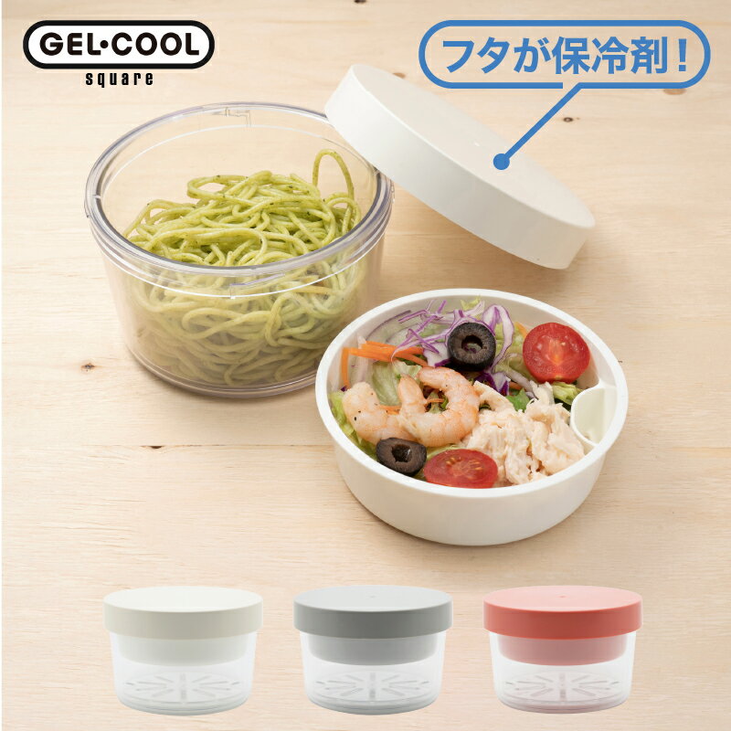 【楽天スーパーSALE特別価格 クーポンも】 麺用 ランチボックス 保冷ランチボックス GEL-COOLE ヌードル用 パスタ 2段 カレー 麺類 うどん 二段 ヌードルランチ パスタランチ 冷やす 保冷剤付き 夏 ひんやり 冷やす すのこ 食洗機対応 電子レンジ 麺 具 セパレート