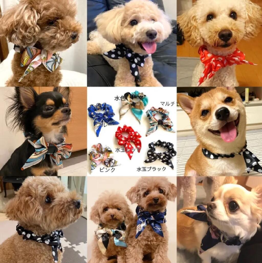 ペット、犬ワンちゃん、小型犬、かわいい、リボン、サテン、愛犬、お揃い、首輪、室内犬お出かけ用、散歩、撮影、