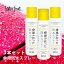  ե äɿ她ץ졼150ml 3ܥå ΰ٤˺줿®ޤ她ץ졼JAPAN  Хå 塼 Ф  waterfront SP001¾ʤƱԲġ Ź