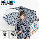 【最短日選択は365日出荷】傘 小学生 雨具 雨傘 ダイナソー 恐竜傘 小学生 子供用 キッズ 男の子 長傘 手開き キッズ雨傘 親骨50cm 親骨55cm ブランド ザジーザップス Zazzy Zaps ユアーズアーミーワールド 入学準備 傘専門店