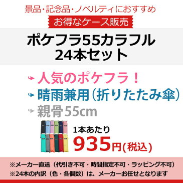 【傘まとめ買い15%OFF】 折りたたみ傘 傘 超薄型 軽量 晴雨兼用傘 ウォーターフロント ポケフラット55折り畳み傘カラフル24本セット メンズ レディース 男性 女性 子供用 雨傘 日傘 卒業記念品 親骨55cm UVカット 紫外線カット 薄い傘 waterfront HGKA-3F55-UH 送料無料