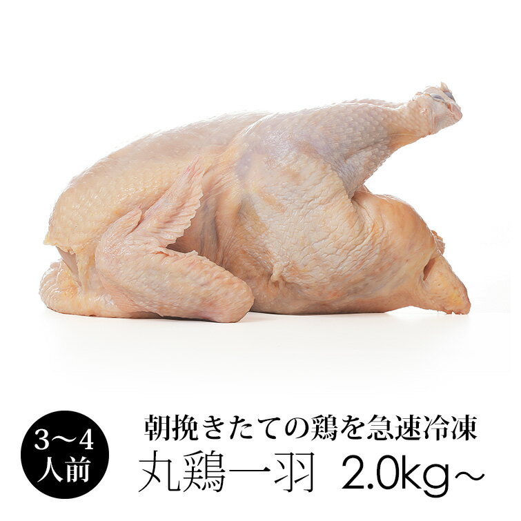 丸鶏 丸鳥 中抜き 1羽 紀の国みかんどり 鶏肉 1羽 【冷凍 中サイズ 約2.0kg～2.4kg】 鳥肉 ローストチキンに みかん鶏