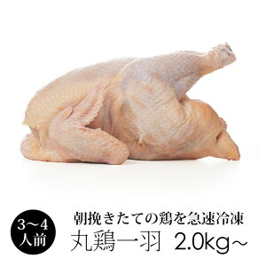 丸鶏 (丸鳥 中抜き 1羽) 紀の国みかんどり 鶏肉 1羽 【冷凍 中サイズ 約2.0kg〜2.4kg】 鳥肉 ローストチキンに みかん鶏