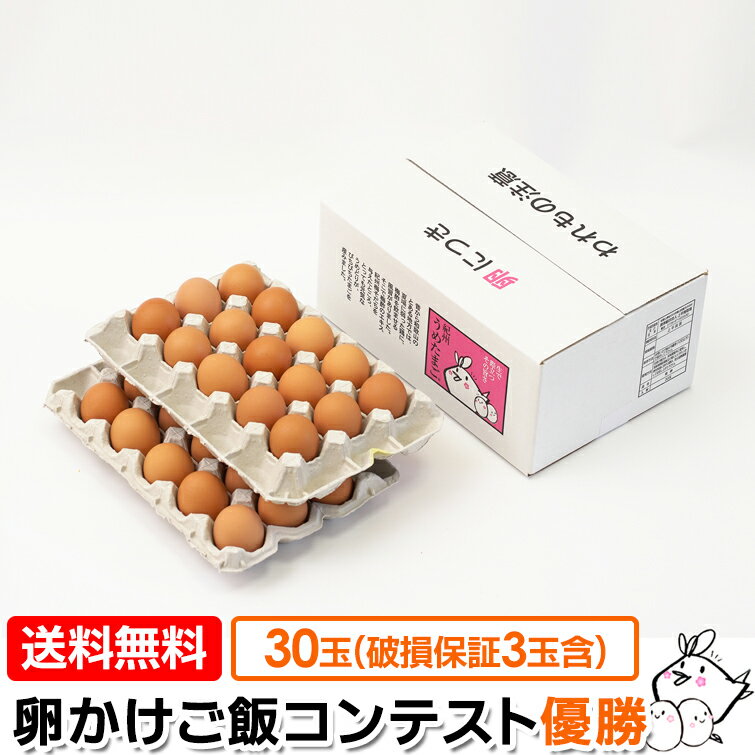  紀州 うめたまご 30玉(27玉＋内 破損保証3玉含む) 卵かけごはん専用 たまご 玉子 鶏卵 うめどり 美味しい生卵 卵掛けごはん ギフト プレゼント