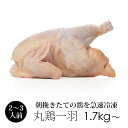 丸鶏 1羽 【冷凍 小サイズ 約1.7kg～2.0kg】 国産 鶏肉 紀の国みかんどり 丸鳥 中抜き ...