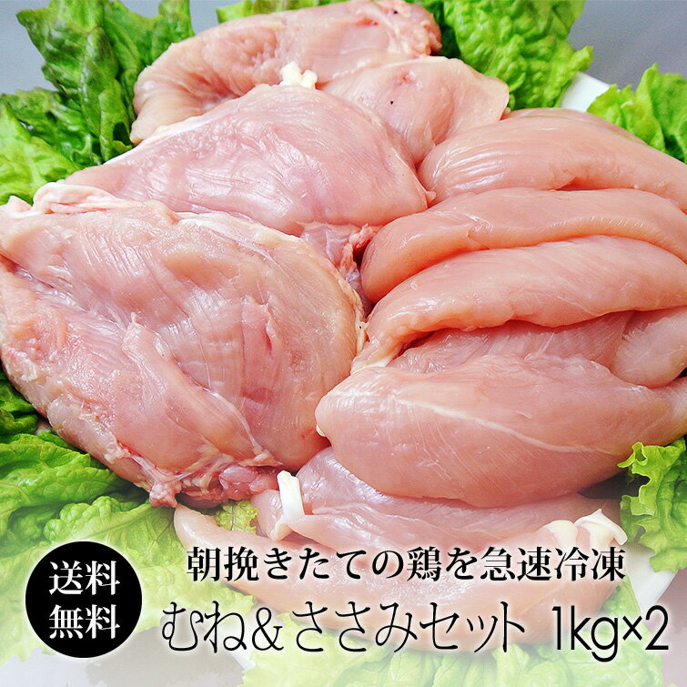 鶏肉 紀の国みかんどり 2kgセット (