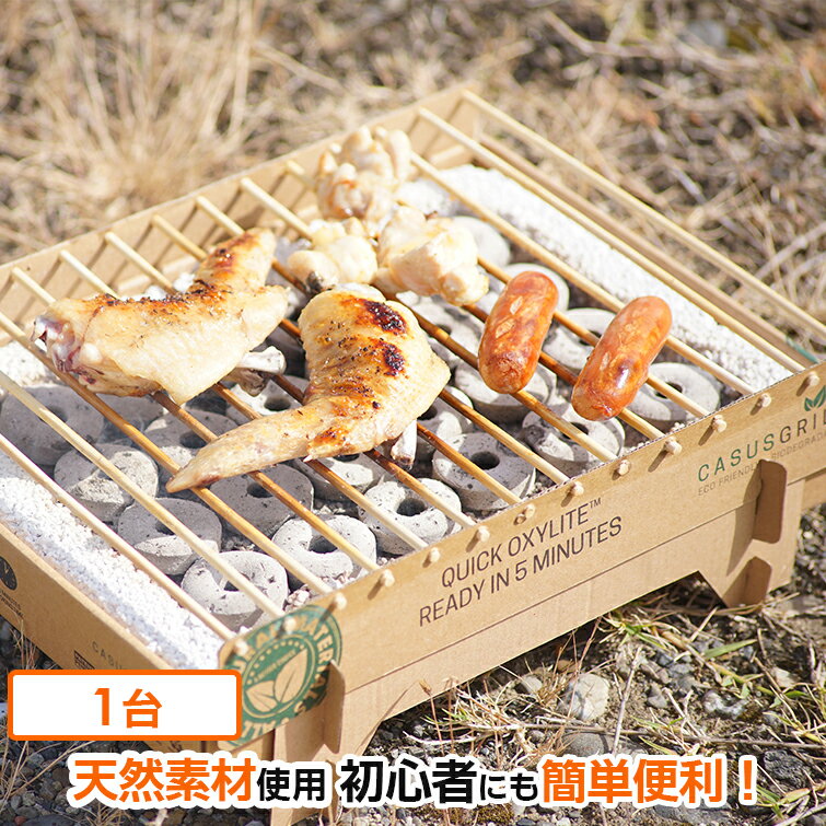 使い捨てバーベキューグリル (クラフトグリル BBQキット) カサスグリル