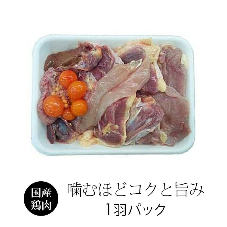 国産 親鶏 1羽パック ひね鶏 鶏肉 冷凍 親鳥