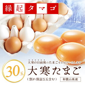 大寒たまご 30玉 (破損保証5玉含) 縁起タマゴ 食べ比べ優勝の卵 紀州うめたまご 太陽のたまご 海藻草たまご 産地直送 大寒卵 大寒の卵 大寒 たまご 2024