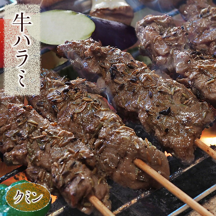 牛串 牛ハラミ串 クミン ケバブ 5本 BBQ 焼き肉 バーベキュー 焼肉 霜降り おつまみ 焼鳥 家飲み 肉 お..