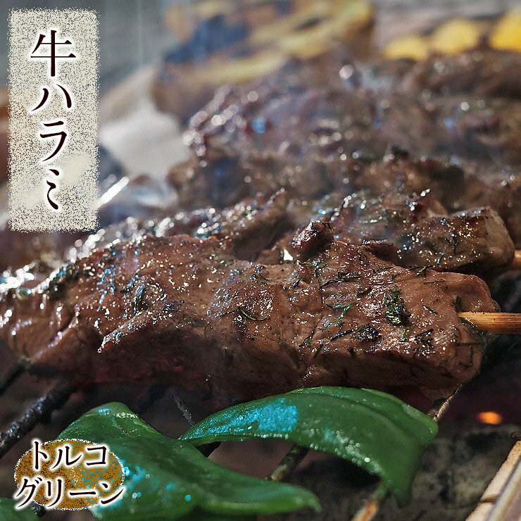 牛串 牛ハラミ串 トルコグリーン ケバブ 5本 BBQ 焼き肉 バーベキュー 焼肉 霜降り おつまみ 焼鳥 家飲..