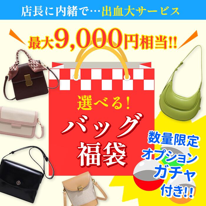 【今日使える5%OFFクーポン！】＼店長には内緒で／中身が見える 選べるバッグ 福袋 韓国 ピアス リング 2way ショルダーバッグ 2024 アクセサリー ファッション 女性 セット 期間限定 Chic Lab シックラボ