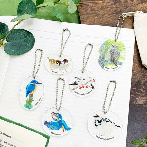 アクリル キーホルダー 【 鳥】 透明 アクキー 野鳥 日本 固有種 スズメ カワセミ シマエナガ ライチョウ 雷鳥 シマフクロウ バード 【 智光 】