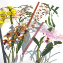 クリアファイル A4 【 蘭花譜 】 植物 イラスト 加賀正太郎 花柄 花 アート ラン らん 【 智光 】