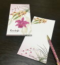 一筆箋 【 蘭花譜 】 植物 イラスト 加賀正太郎 花柄 花 アート ラン らん 【 智光 】