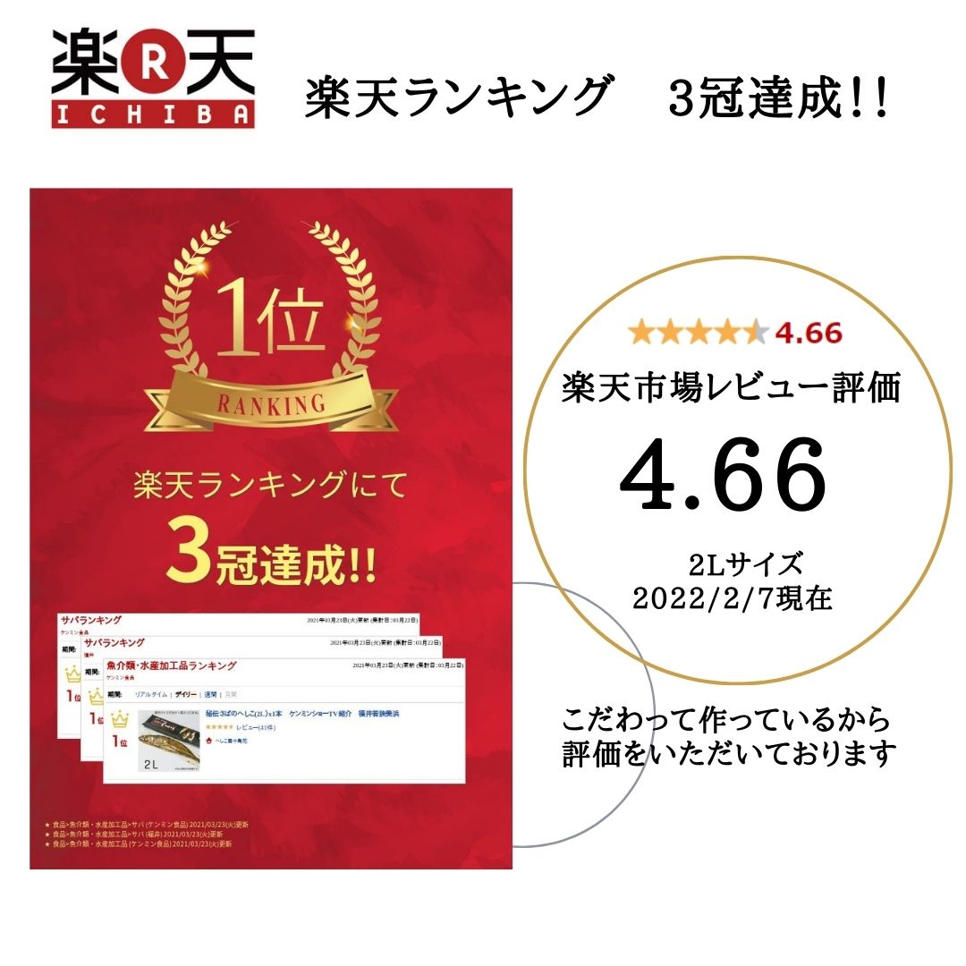 毎月1日から7日　へしこの日限定商品　送料無料　へしこ　2L　3本　福井若狭美浜　おみやげ　TV紹介 売れ筋　オススメ