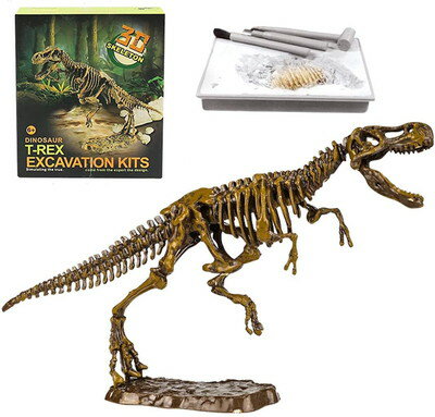 【ポイント10倍_お買い物マラソン】恐竜化石発掘 おもちゃ 発掘キット 恐竜の骨 T rex