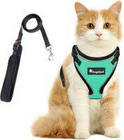 猫 猫用 ハーネス 胴輪 猫具 ねこ ネコ 子猫 子犬 小型犬 散歩 お出かけ 抜けない ベスト ソフト胸あて 軽量 頭を通さずマジックテープで装着 サイズ調節可 夜反射 通気メッシュ Sサイズ グリーン 緑