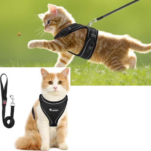 ペティオ W55951 CAT HARNESS ドットハーネスリード ブルー