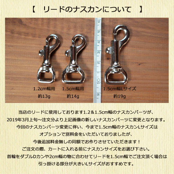 �꡼�� 15mm�� LongLead �쥤��ܡ� Lead �ڥ��������ᥤ�ɾ��ʡ�