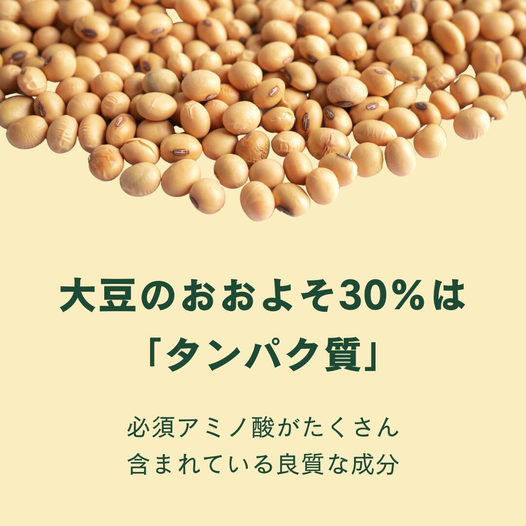 三育コンベジ (90g)