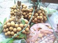 �ɥ饤ε��ե롼��