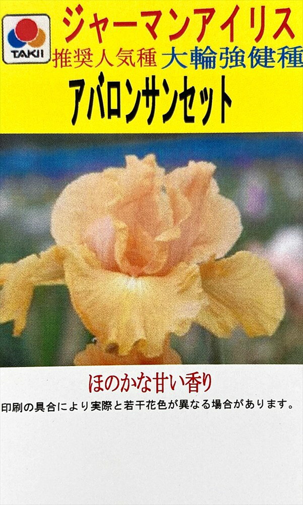 楽天市場】ジャーマン アイリス 品種の通販